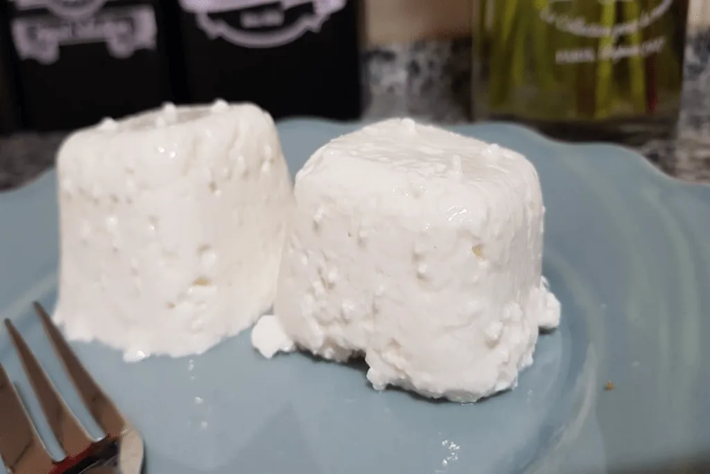 Queijo Caseiro com 3 ingredientes super fácil aprenda agora