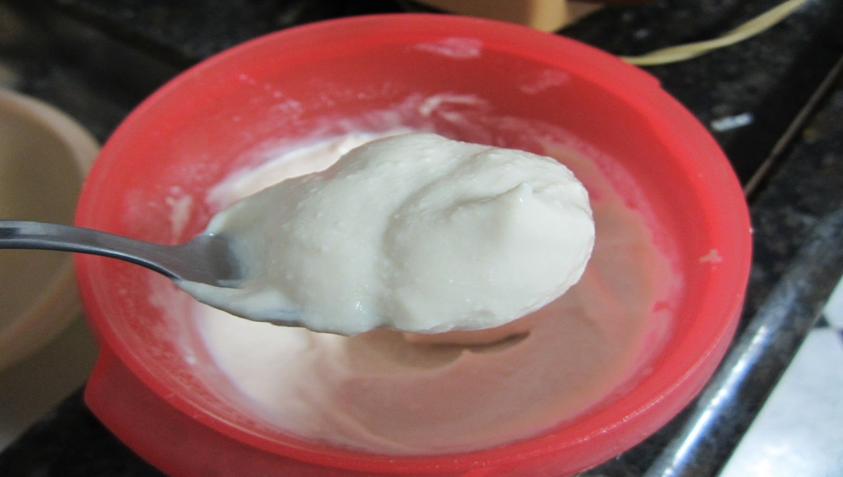 Iogurte natural caseiro bem cremoso com apenas 2 ingredientes