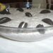 Mousse de Oreo com 3 ingredientes