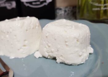 Queijo Fresco Sem Leite em Pó