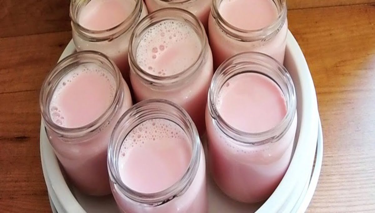 Iogurte de Morango no Liquidificador com 3 ingredientes