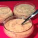 Mousse de Mamão e Chia delicioso e fácil que fica pronto em minutos