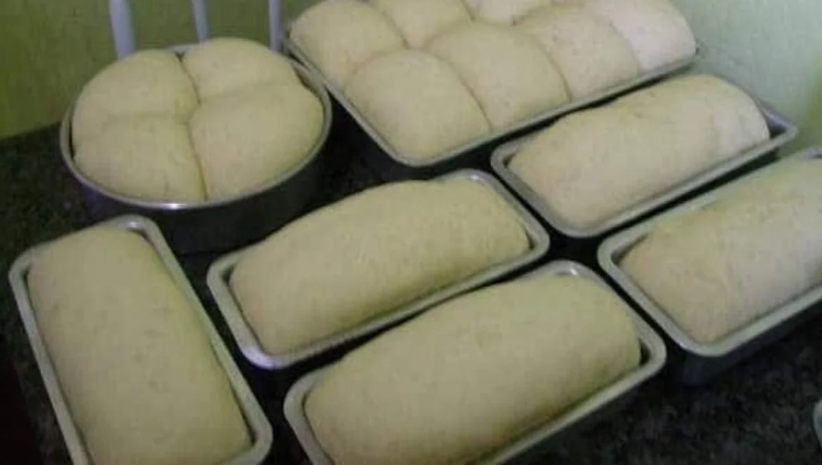 Pão Caseiro de Liquidificador Sem Sovar