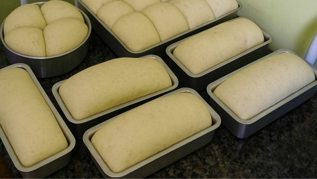 Pão Caseiro Fofinho com Massa Sem Sovar no Liquidificador