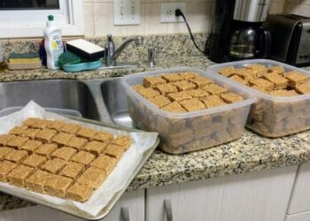 Paçoca Caseira de Amendoim com 3 Ingredientes e Sem Forno